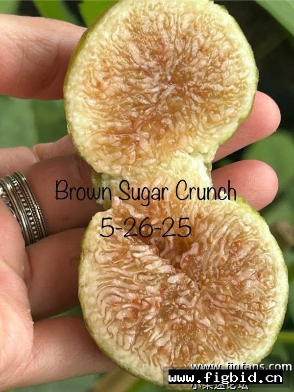 红糖脆片/红糖酥脆 Brown Sugar Crunch 无花果 标价为单芽价格 满50包邮