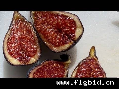 以色列黑 Israeli Black 无花果 标价为单芽价格 满50包邮