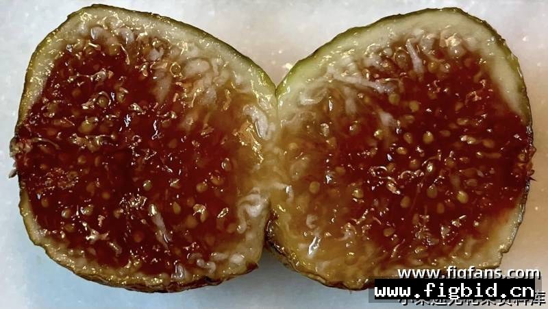红糖脆片/红糖酥脆 Brown Sugar Crunch 无花果 标价为单芽价格 满50包邮