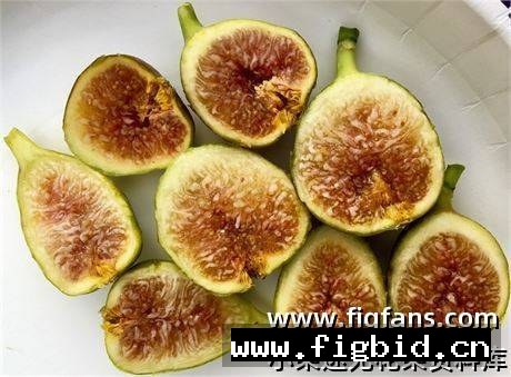 科里奥普罗旺斯Corio Provence 无花果 标价为单芽价格 满50包邮