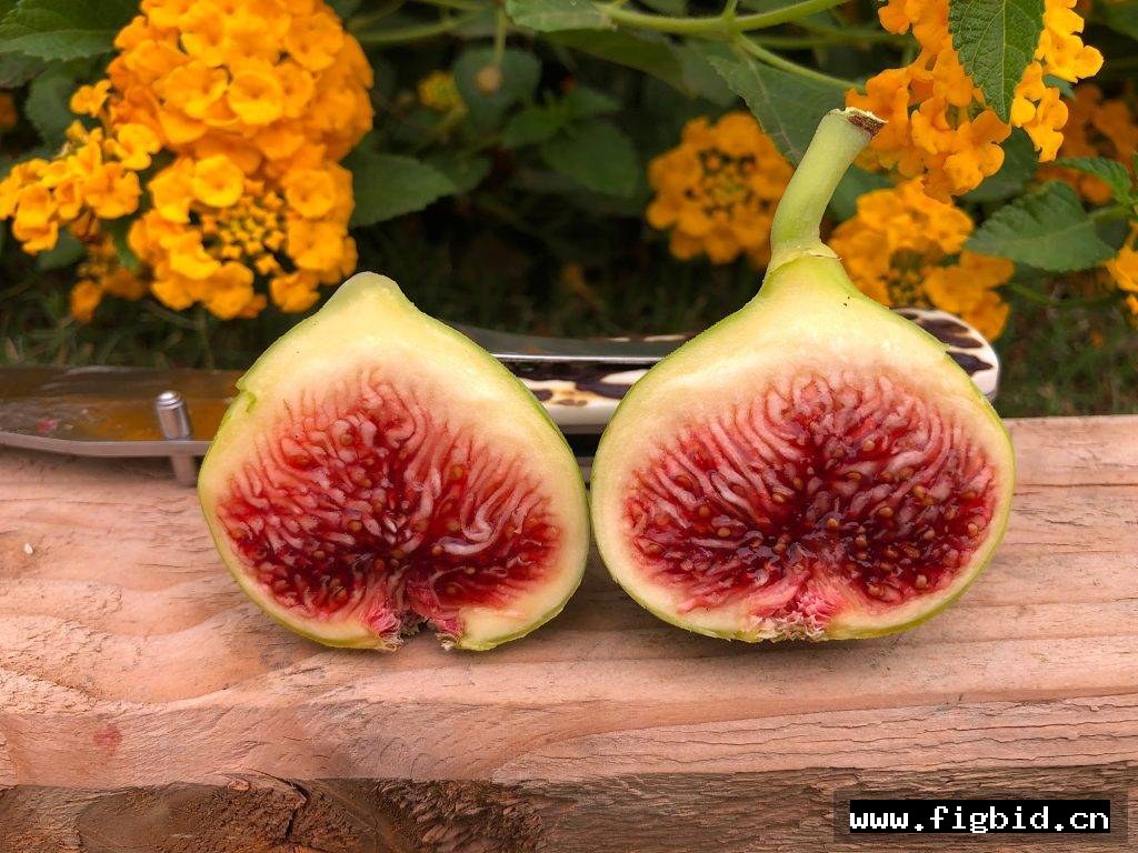 万叶/科斯美曼悠 Cosme Manyo 无花果 标价为单芽价格 满50包邮