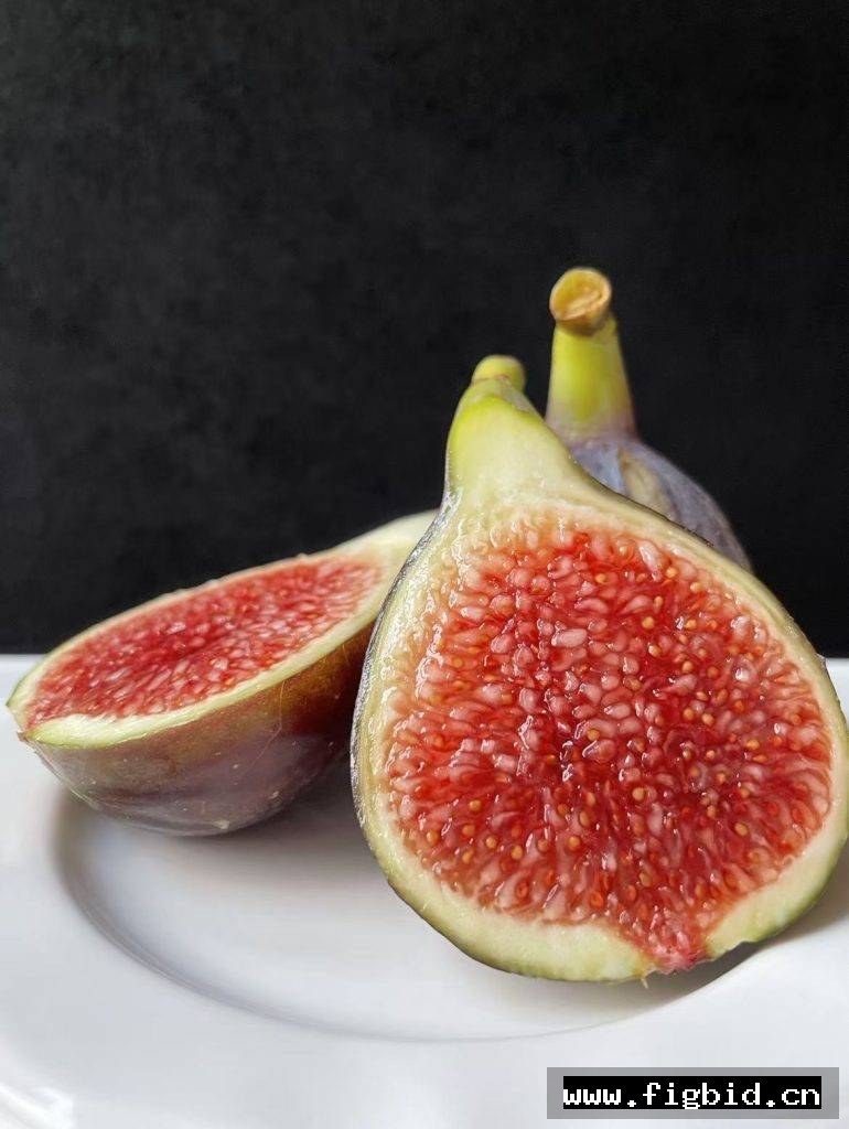 骑士 Cavaliere 无花果 标价为单芽价格 满50包邮