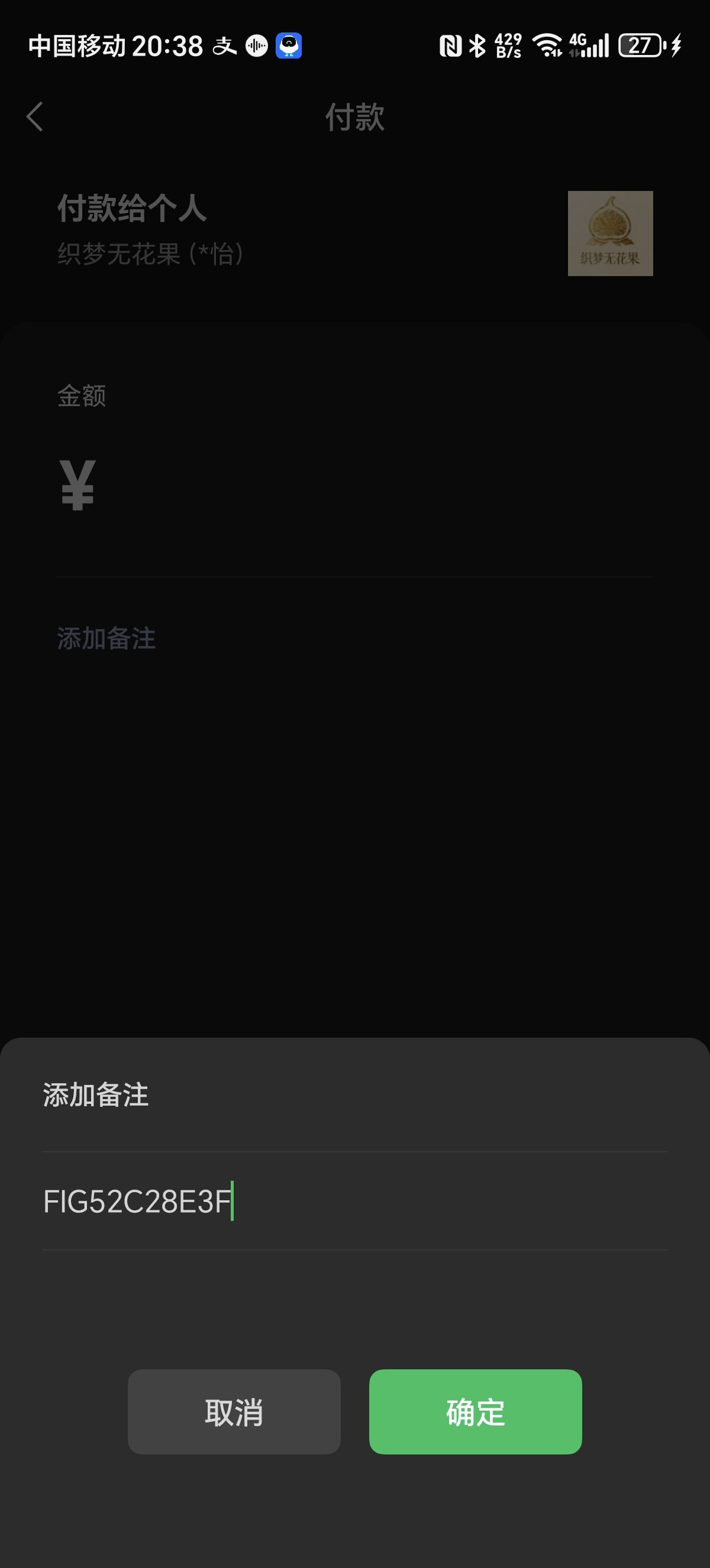 打开微信、支付宝扫码支付